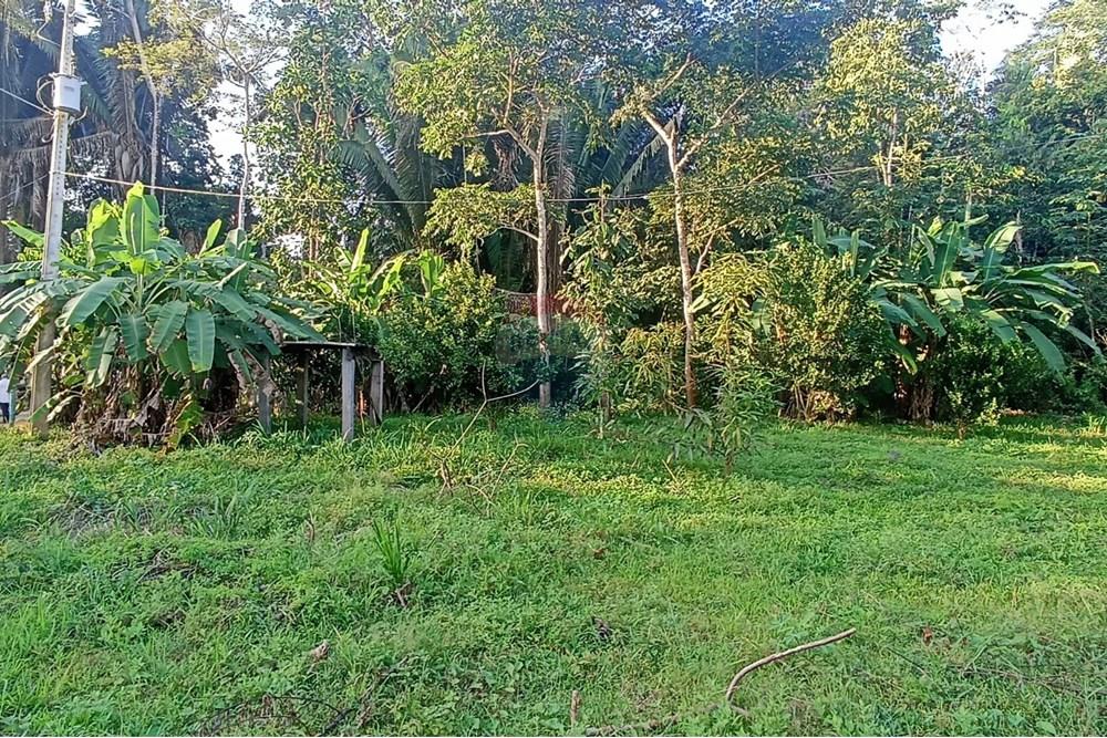 Chácara / Sítio / Fazenda - Venda - Jaru , Rondônia - 8.jpeg - 721551072-20