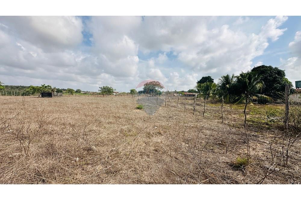 Chácara / Sítio / Fazenda - Venda - São José de Mipibu , Rio Grande do Norte - IMG-20250206-WA0017.jpg - 720811013-67