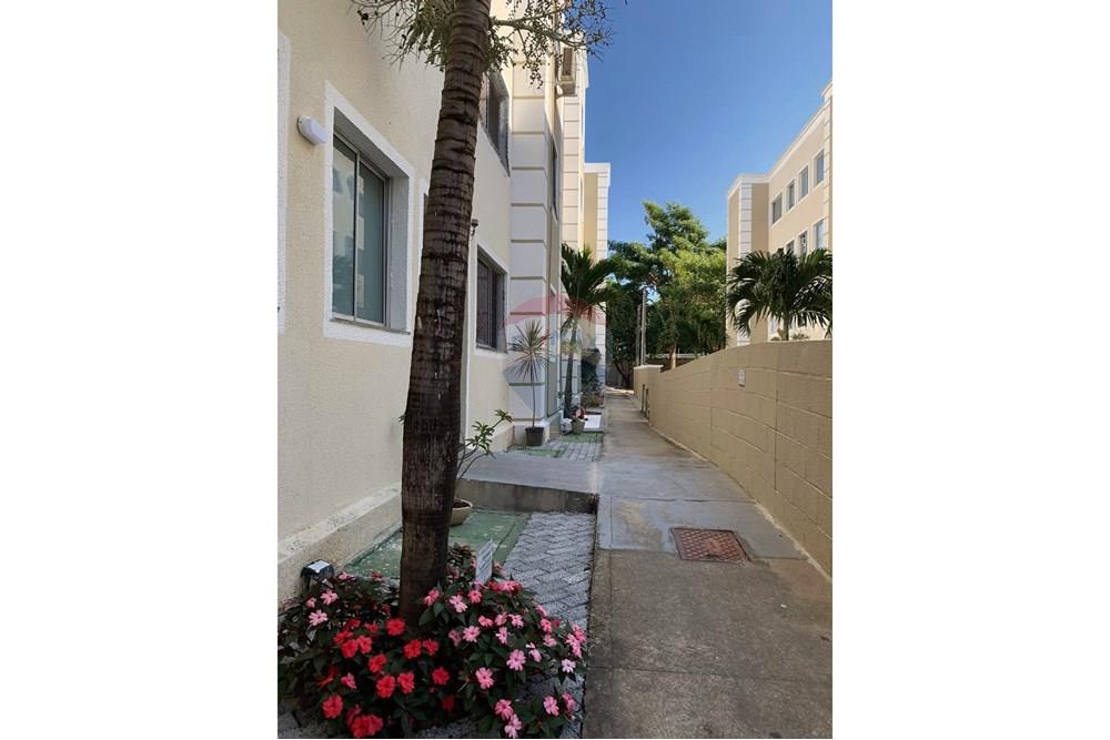 Apartamento - Alugar - Parnamirim , Rio Grande do Norte - IMG-20240831-WA0046-EDIT.jpg - 720891124-31