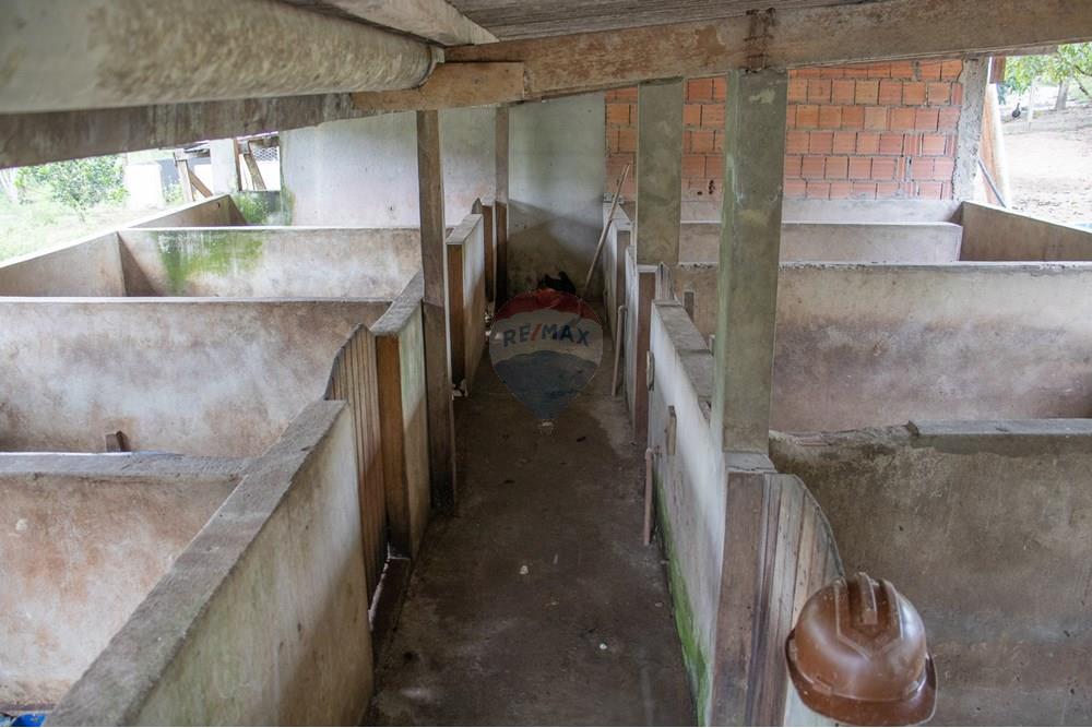 Woningbouw - Boerderij - Novo Airão , Amazonas - BR - IMG_7408.jpg - 720721055-29