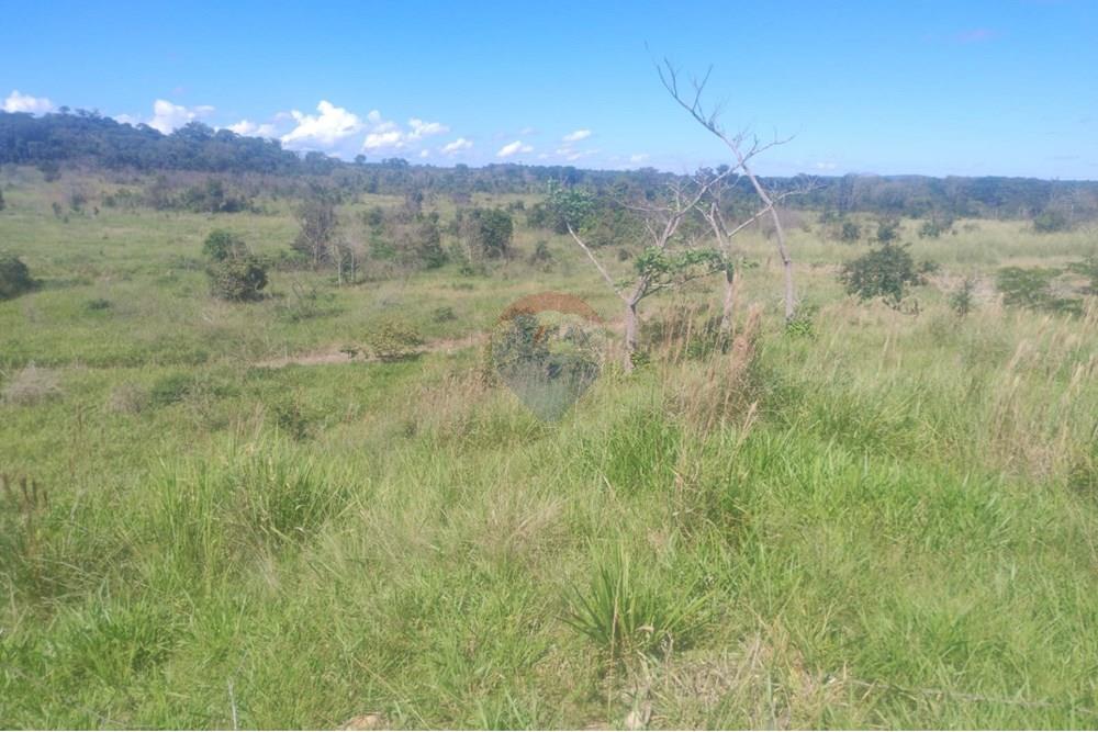Chácara / Sítio / Fazenda - Venda - Confresa , Mato Grosso - IMG-20250926-WA0029 - Copia.jpg - 720641046-11