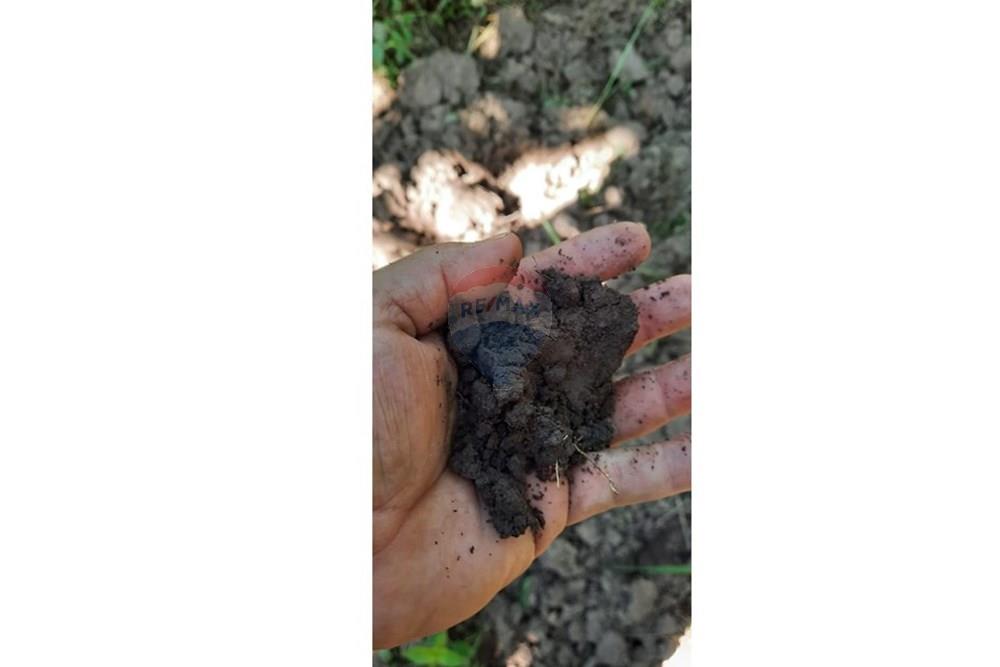 Fazenda - Venda - Guiratinga , Mato Grosso - IMG-20250730-WA0175.jpg - 721981068-4