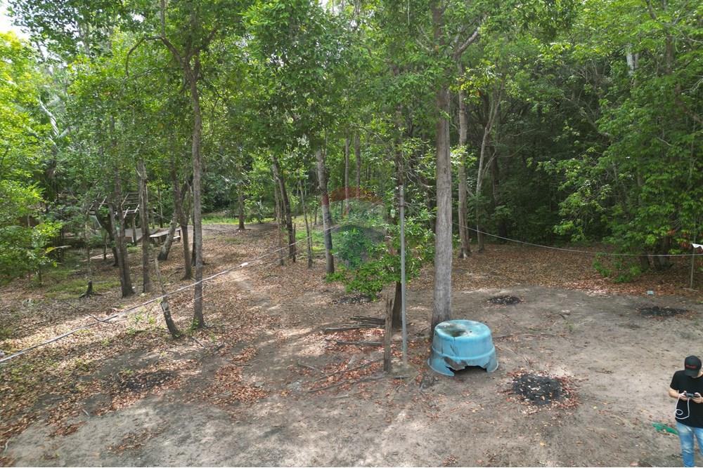 Chácara / Sítio / Fazenda - Venda - Babaçulândia , Tocantins - DJI_0100.JPG - 720991008-82