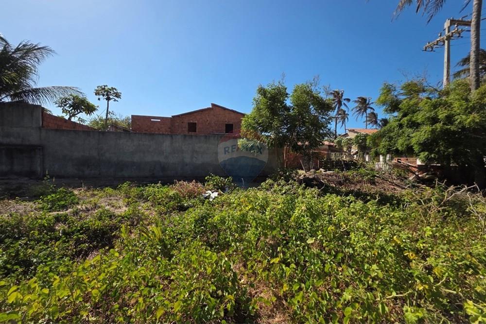 Terreno - Venda - Trairi , Ceará - 1000193095.jpg - 722341001-100