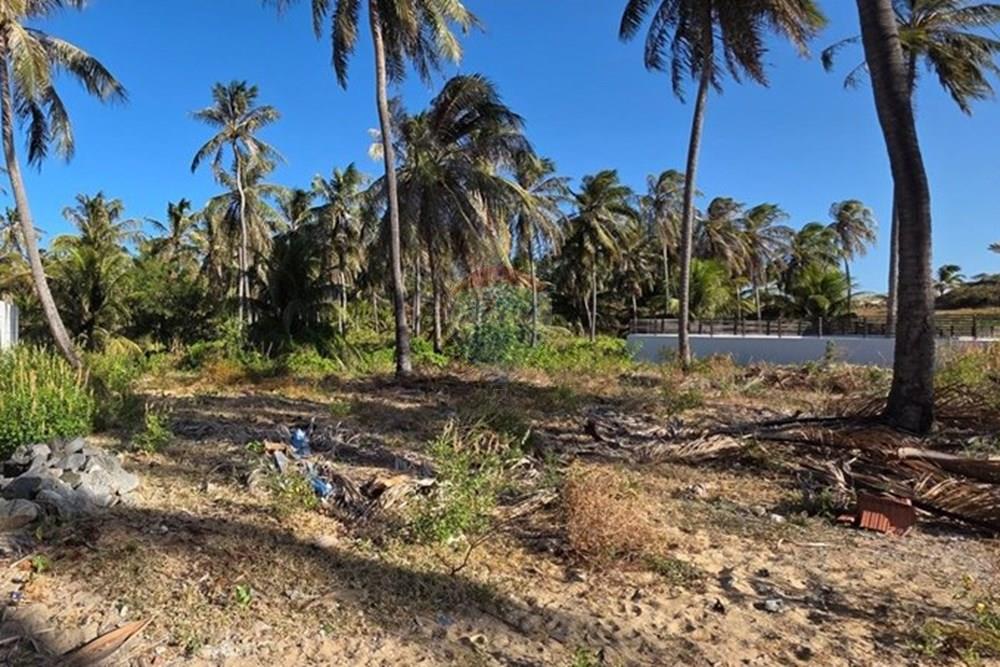 Terreno - Venda - Trairi , Ceará - 1000189532.jpg - 722341001-103