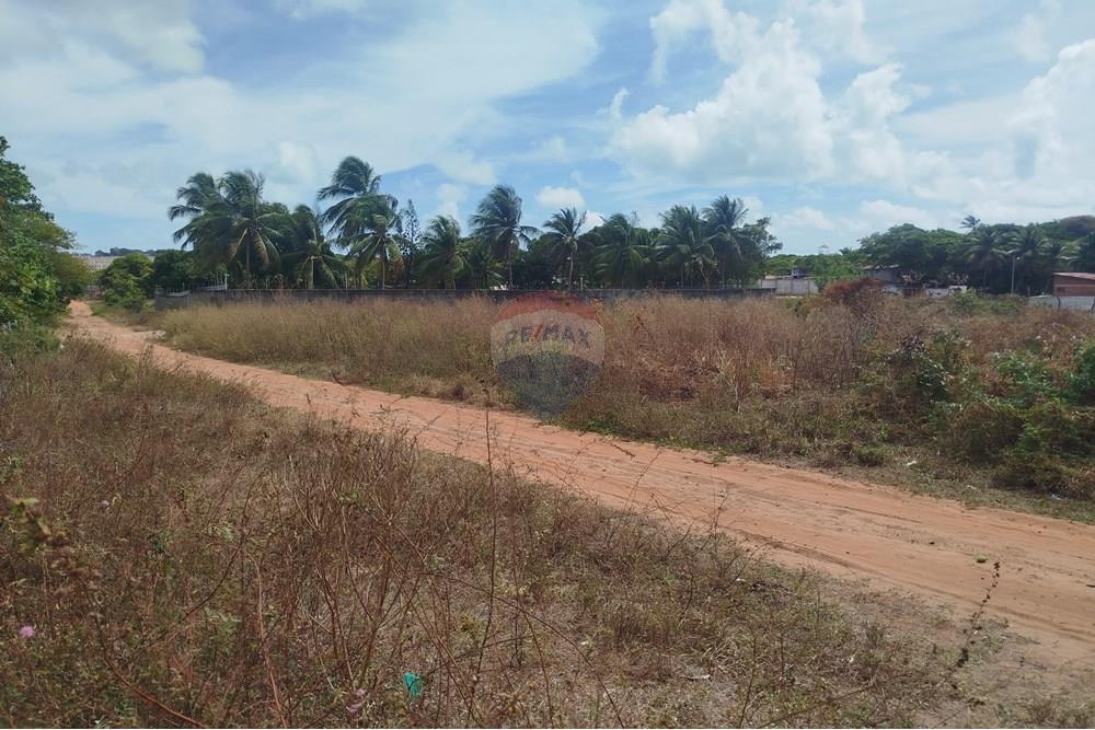 Terreno - Venda - Nísia Floresta , Rio Grande do Norte - WhatsApp Image 2024-11-22 at 21.32.44 (1).jpeg - 720891013-275