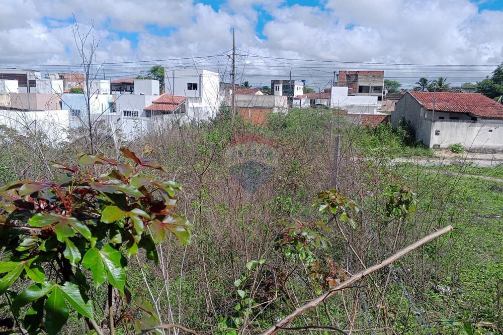 Terreno - Venda - Queimadas , Paraíba - IMG_20260216_085322_334.jpg.jpeg - 720291095-18