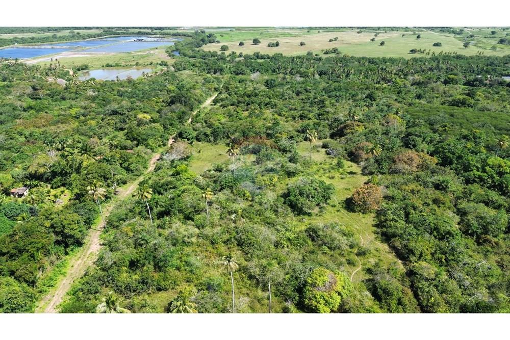 Terreno - Venda - São Gonçalo do Amarante , Rio Grande do Norte - WhatsApp Image 2025-09-09 at 11.00.06.jpeg - 720621066-81