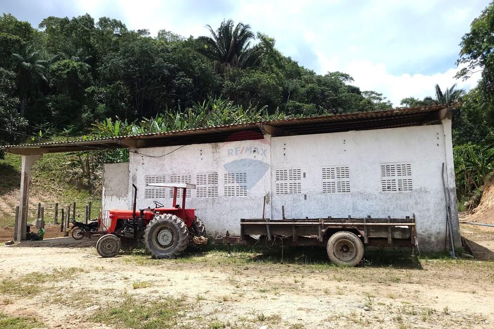 Chácara / Sítio / Fazenda - Venda - Areia , Paraíba - DJI_20230206_112040_603.jpg - 722011055-52