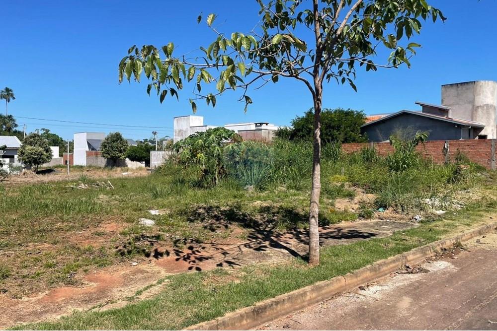 Terreno - Venda - Cacoal , Rondônia - 347.jpg - 722311018-46