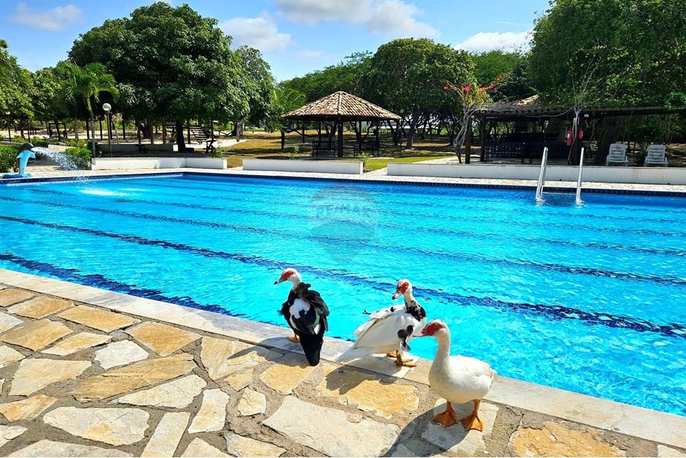 Casa de Condomínio - Venda - Macaíba , Rio Grande do Norte - 20250905_133933.jpg - 720891039-316