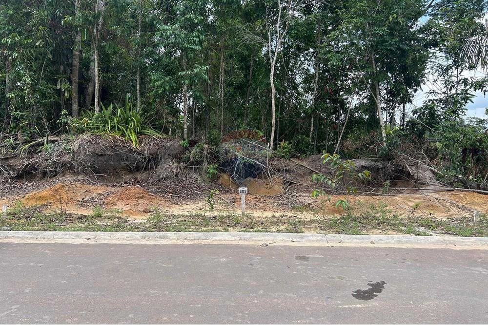 Terreno - Venda - Manaus , Amazonas - WhatsApp Image 2024-12-20 at 12.00.11 (2).jpeg - 720721025-40