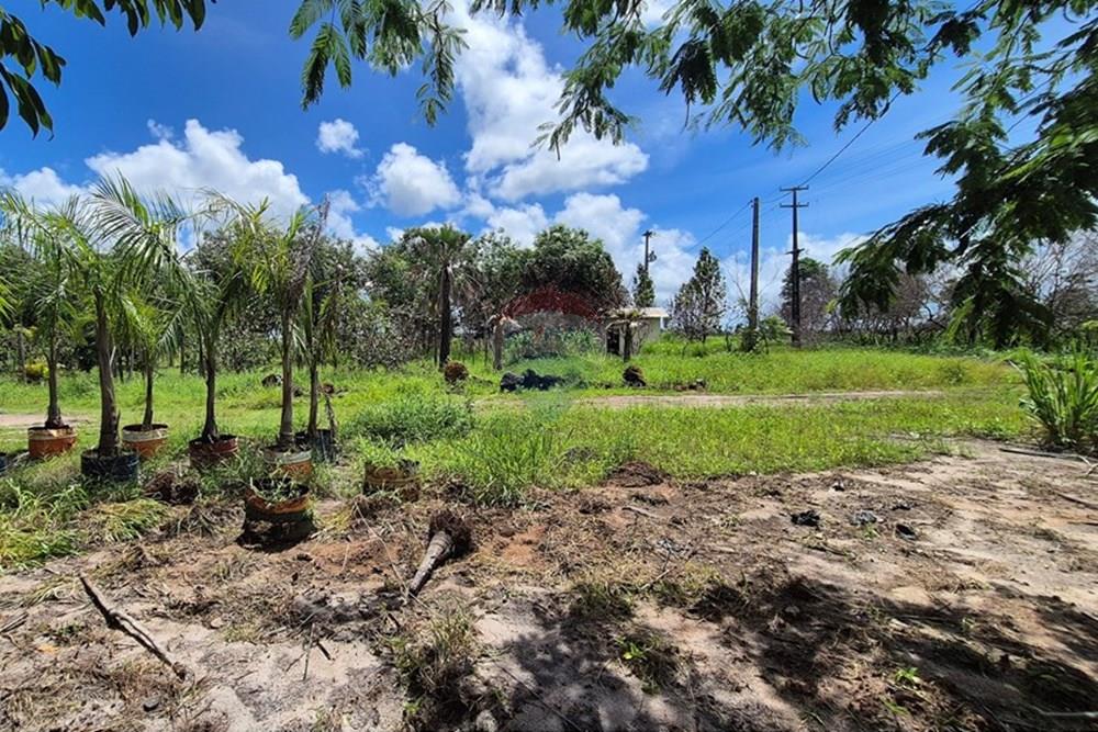 Galpão - Alugar - Pedras de Fogo , Paraíba - 20250207_102838.jpg - 722011055-40
