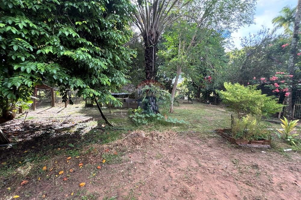 Chácara / Sítio / Fazenda - Venda - Barra do Garças , Mato Grosso - IMG_8213.JPG.jpeg - 722221023-69