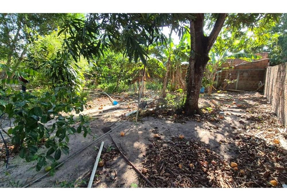 Terreno - Venda - Parnamirim , Rio Grande do Norte - WhatsApp Image 2026-03-02 at 10.05.10 (1).jpeg - 720811040-40