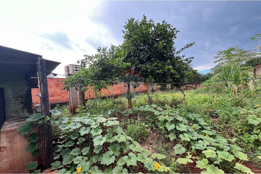 Terreno - Venda - Jataí , Goiás - WhatsApp Image 2025-04-04 at 16.17.23 (2).jpeg - 722301005-19