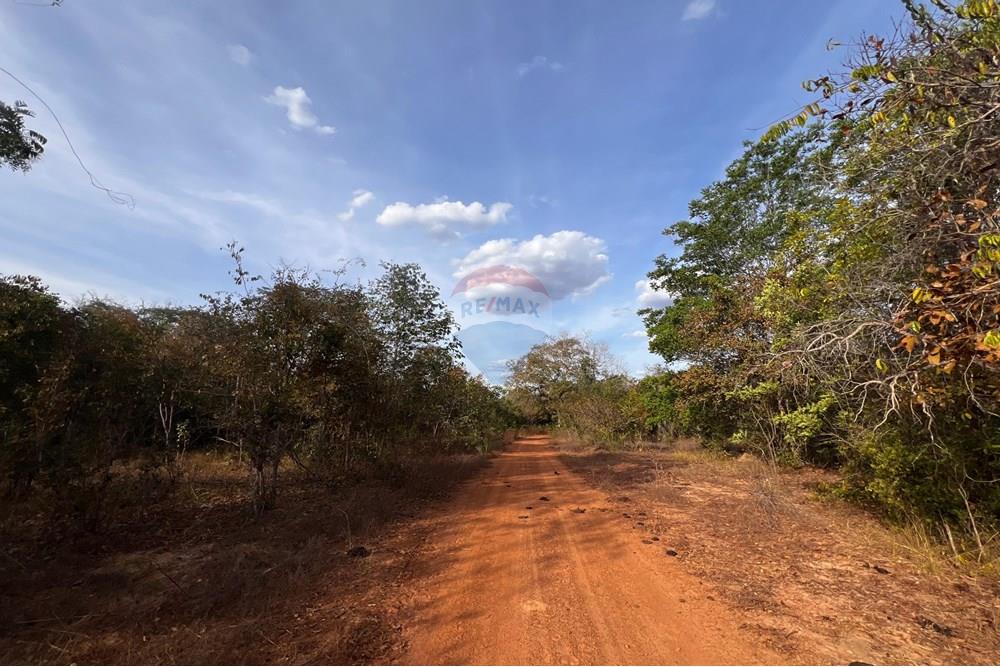 Agro - Venda - Barra do Ouro , Tocantins - WhatsApp Image 2025-08-07 at 10.31.42 (1).jpeg - 720991010-77