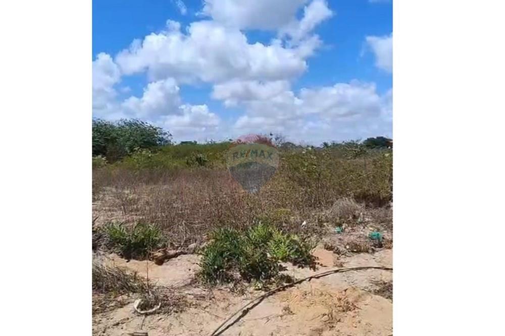 Terreno - Venda - São José de Mipibu , Rio Grande do Norte - TERRENO 2.jpeg - 720891130-239