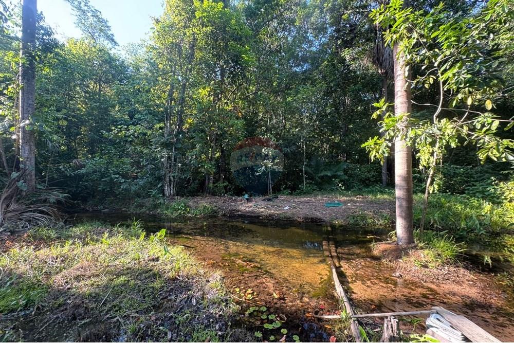 Chácara / Sítio / Fazenda - Venda - Babaçulândia , Tocantins - WhatsApp Image 2025-09-23 at 14.17.43 (2).jpeg - 720991008-82