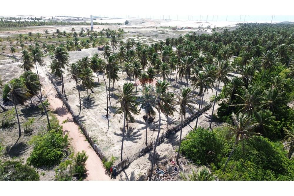 Terreno - Venda - Trairi , Ceará - WhatsApp Image 2026-02-13 at 16.45.35 (1).jpeg - 722341005-47