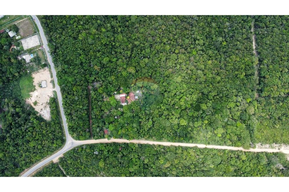 Terreno - Venda - Manaus , Amazonas - WhatsApp Image 2025-12-18 at 17.09.45 (1).jpeg - 720721004-184