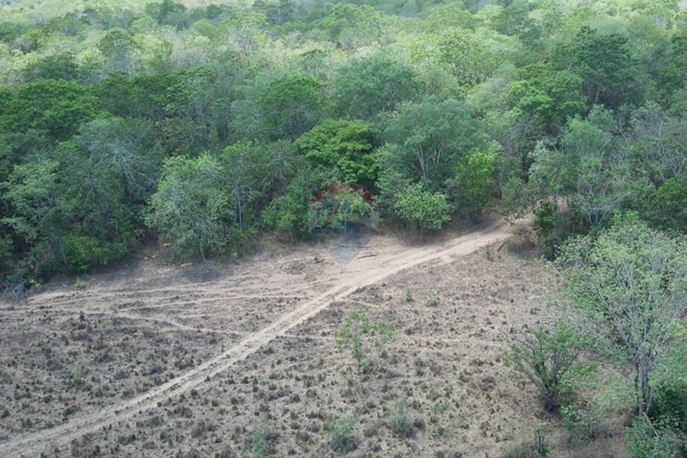 Chácara / Sítio / Fazenda - Venda - Dom Aquino , Mato Grosso - IMG_7835.JPG - 720611016-36