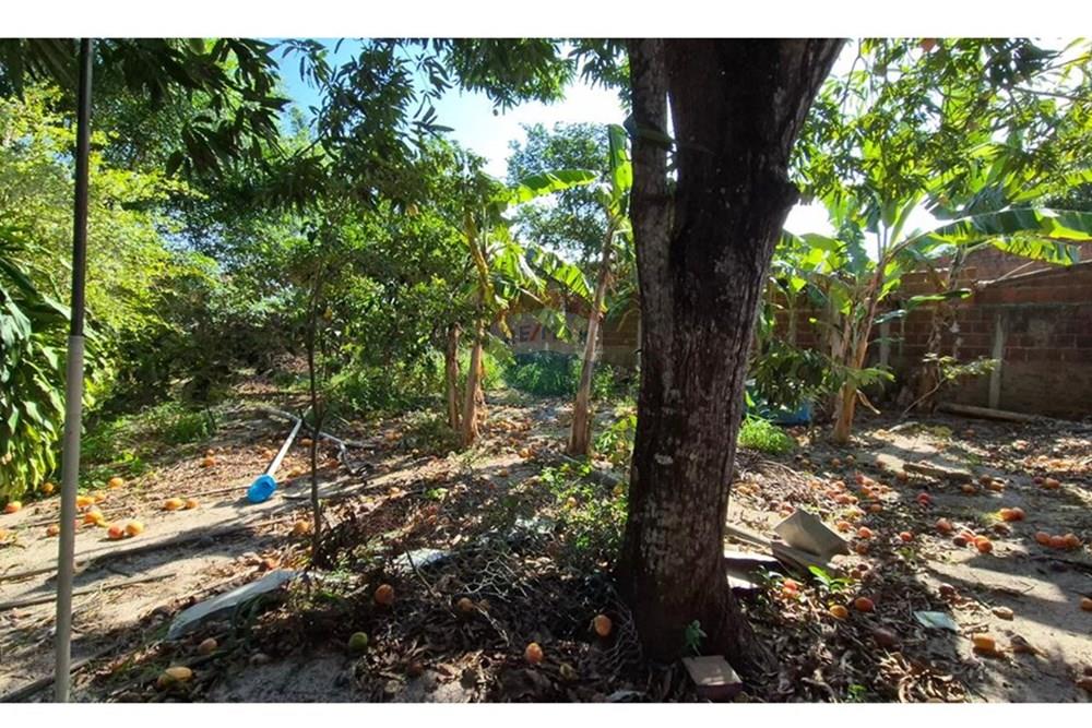 Terreno - Venda - Parnamirim , Rio Grande do Norte - WhatsApp Image 2026-03-02 at 10.05.18.jpeg - 720811040-40