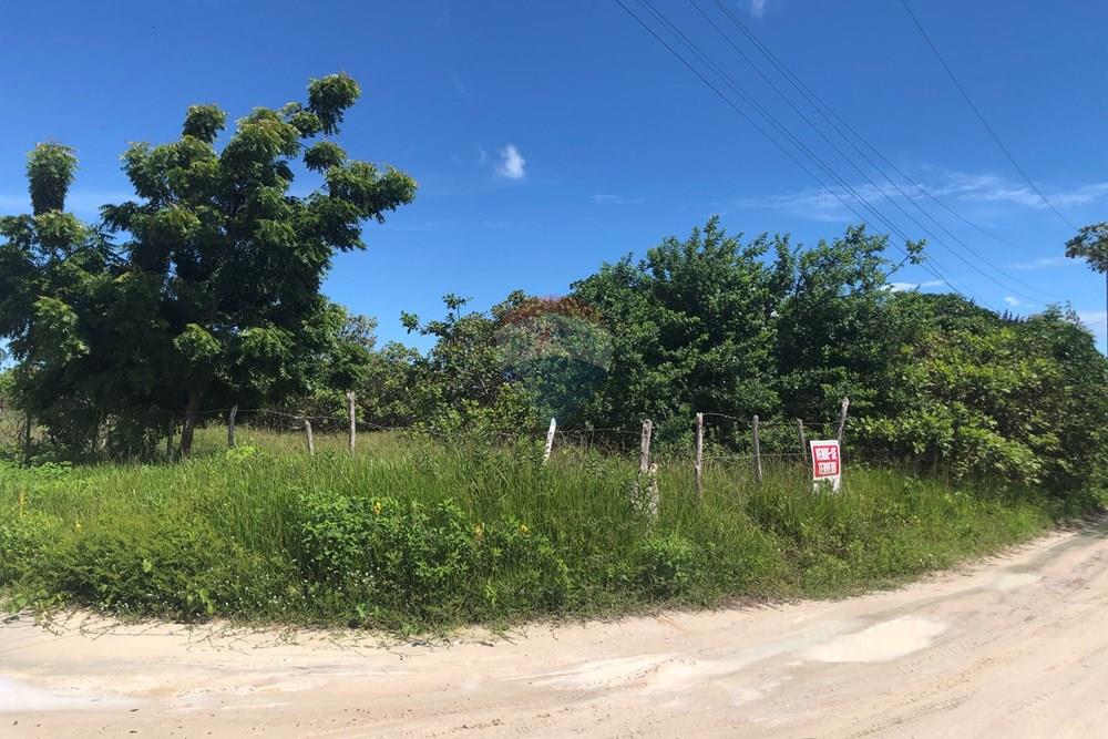 Terreno - Venda - Cruz , Ceará - IMG_0605.jpeg - 722341001-199