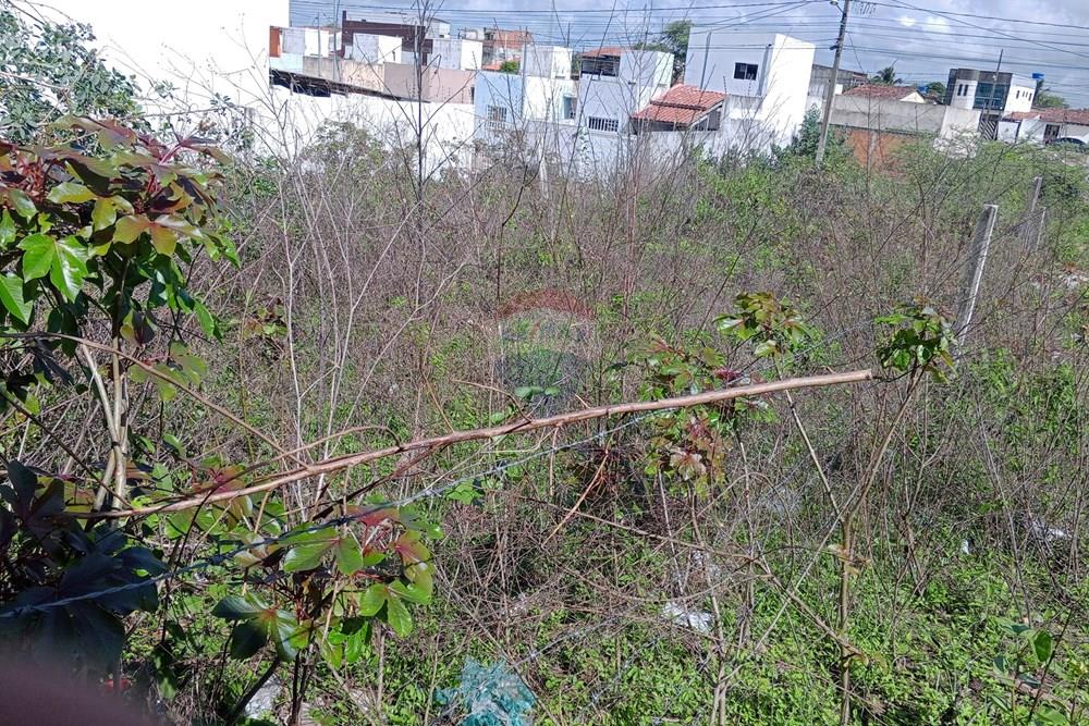 Terreno - Venda - Queimadas , Paraíba - IMG_20260216_085315_140.jpg.jpeg - 720291095-18