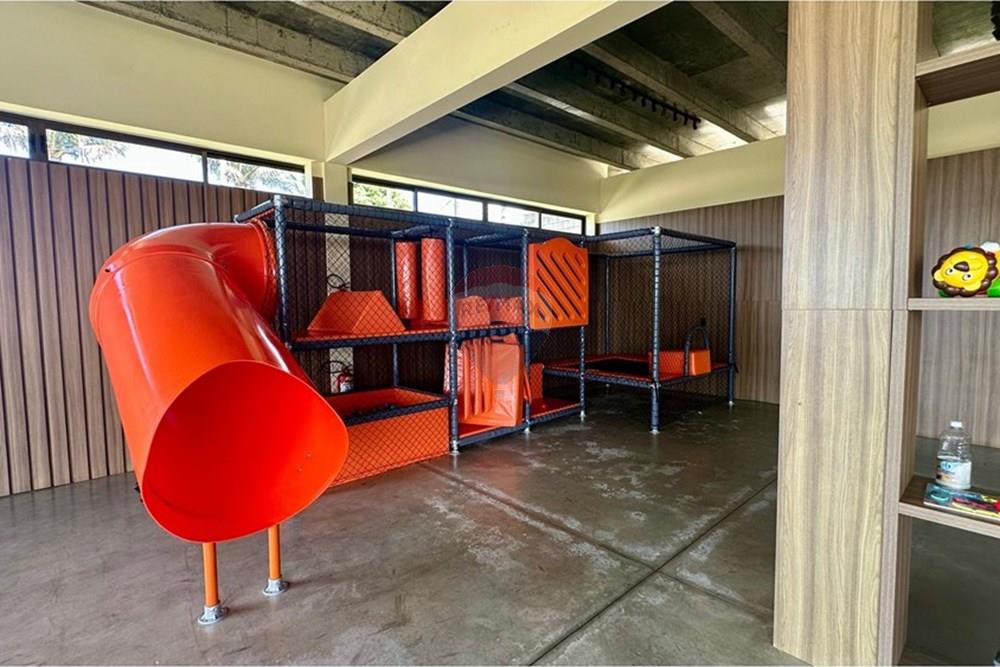 Casa de Condomínio - Venda - Bananeiras , Paraíba - WhatsApp Image 2025-07-30 at 11.42.11.jpeg - 722001026-42