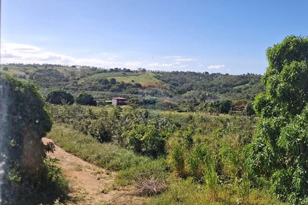 Terreno - Venda - Pitimbu , Paraíba - 76773da2-d3aa-435c-b5b1-e9ec5890dde2.jpeg - 720871044-91