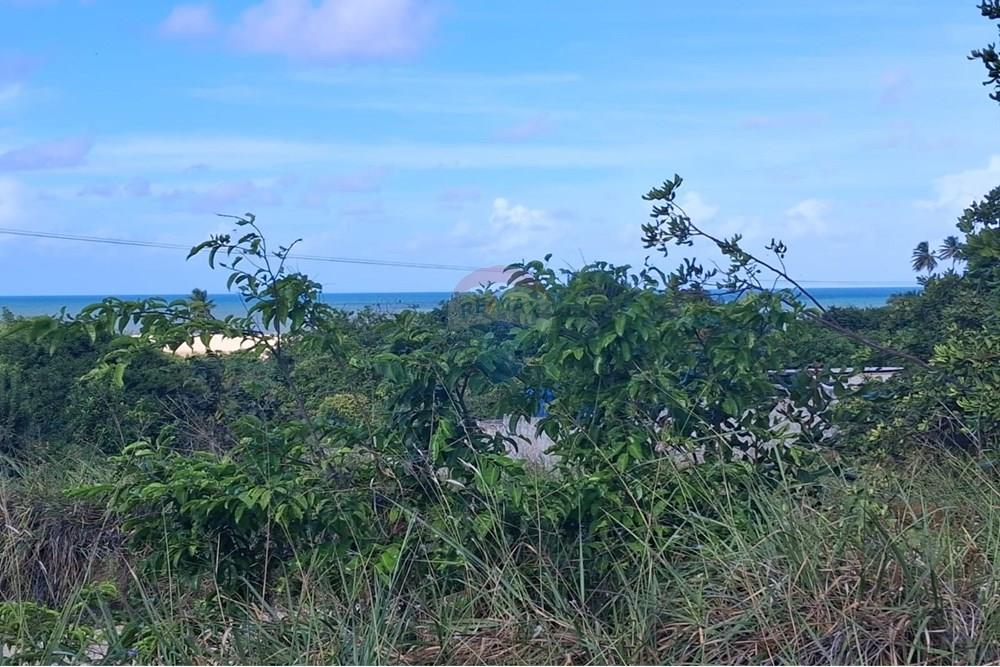Terreno - Venda - Pitimbu , Paraíba - fd7734f1-f38f-4434-b135-bc52eaa3bee6.jpg - 720871044-61
