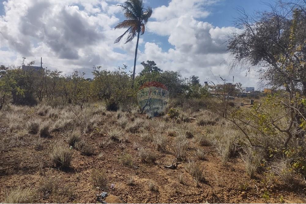 Terreno - Venda - Conde , Paraíba - WhatsApp Image 2025-11-21 at 14.00.31.jpeg - 720871031-90