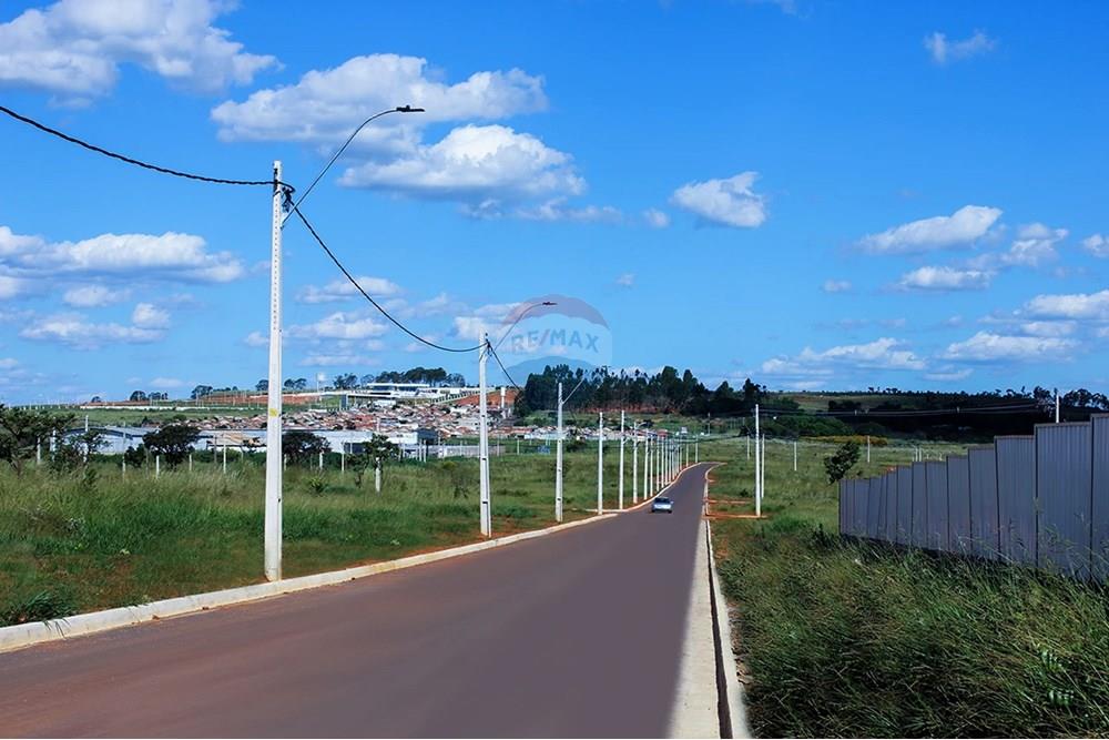 Terreno - Venda - Anápolis , Goiás - IMG_3851-copiar.jpg - 721991046-176