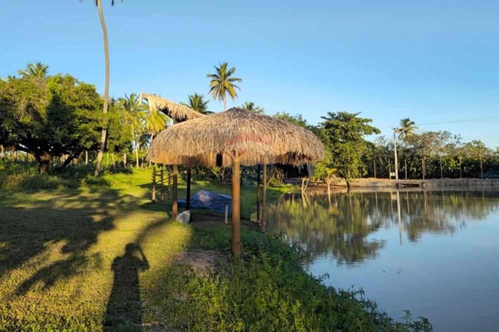 Terreno - Venda - Trairi , Ceará - 1000290766.jpg - 722341005-30