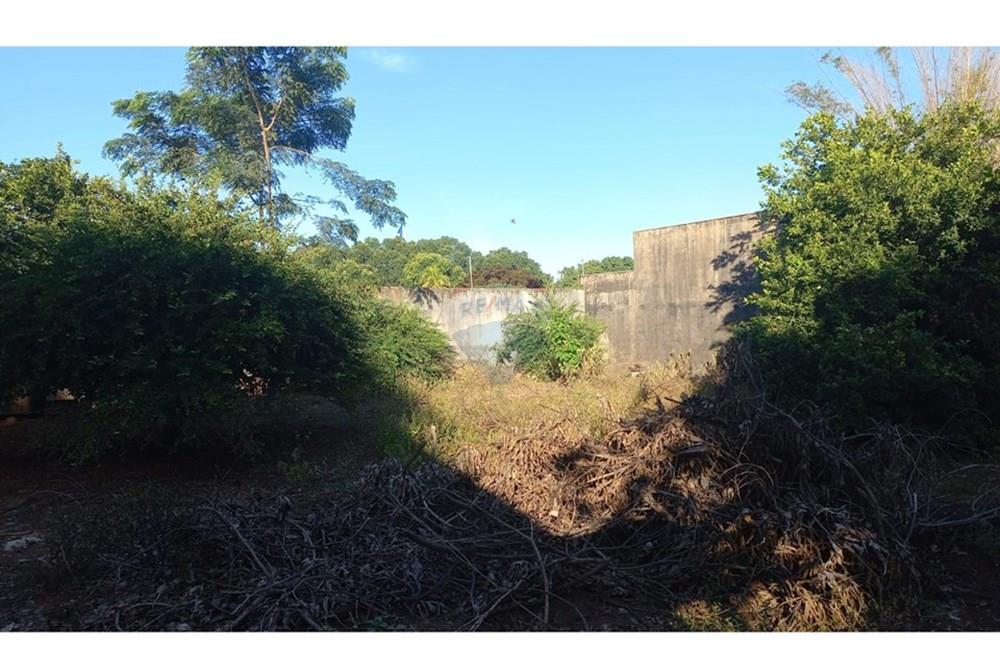 Terreno - Venda - Rondonópolis , Mato Grosso - Imagem do WhatsApp de 2025-06-24 à(s) 17.25.56_bde889cb.jpg - 722261004-16