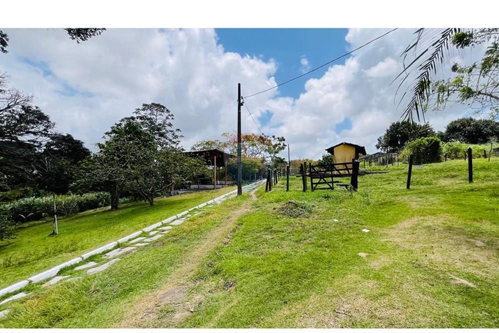 Terreno - Venda - Conde , Paraíba - WhatsApp Image 2025-09-24 at 13.36.58 (1).jpeg - 720871004-211