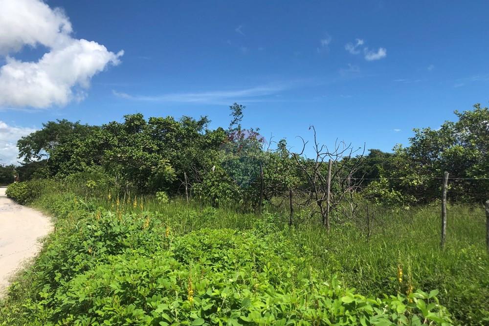 Terreno - Venda - Cruz , Ceará - IMG_0599.jpeg - 722341001-199