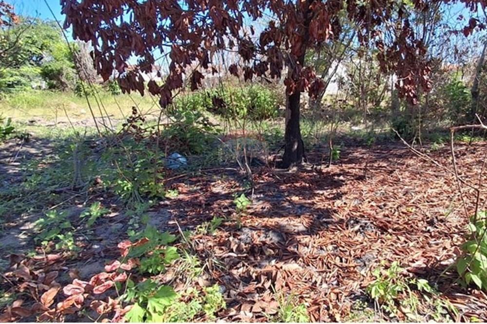 Terreno - Venda - Conde , Paraíba - 67885ab3-43bd-44dc-9168-3ba5396ff00b.jpeg - 720871044-68