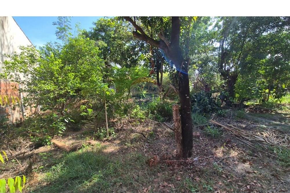 Terreno - Venda - Parnamirim , Rio Grande do Norte - WhatsApp Image 2026-03-02 at 10.05.19 (1).jpeg - 720811040-40