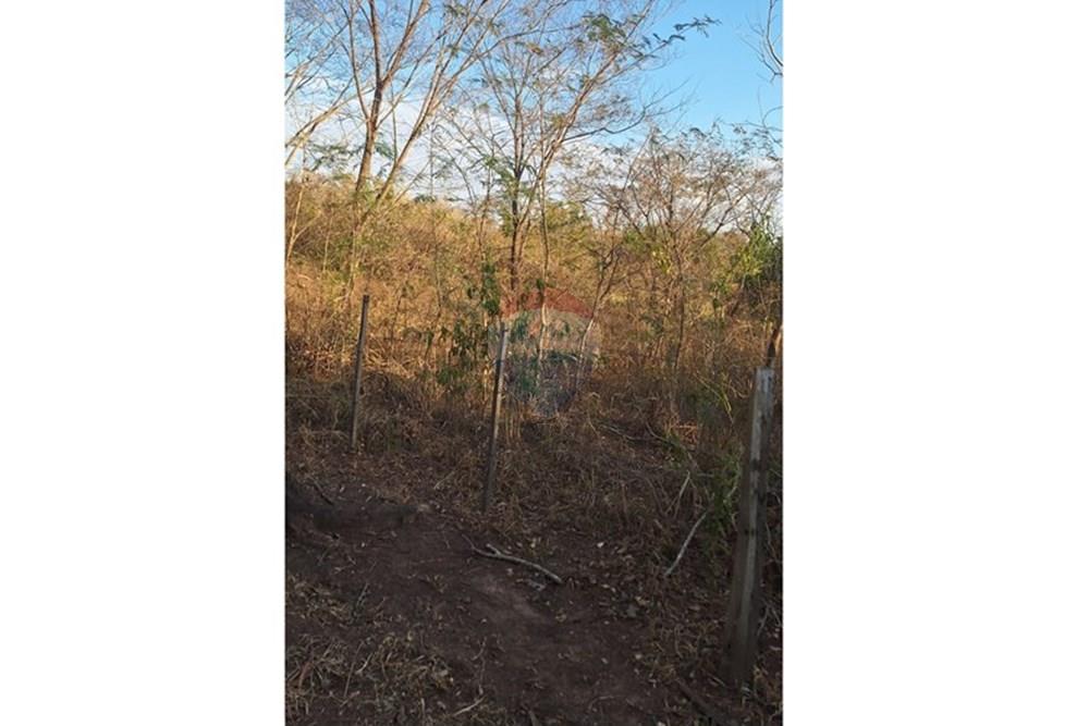 Outros - Venda - Rondonópolis , Mato Grosso - IMG-20250830-WA0130.jpg - 721981068-7