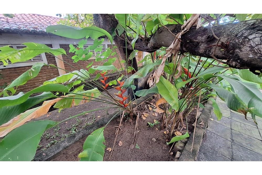 Mieszkaniowa - Dom wolnostojący - Ceará-Mirim , Rio Grande do Norte - BR - WhatsApp Image 2025-09-24 at 13.51.53.jpeg - 720891151-59