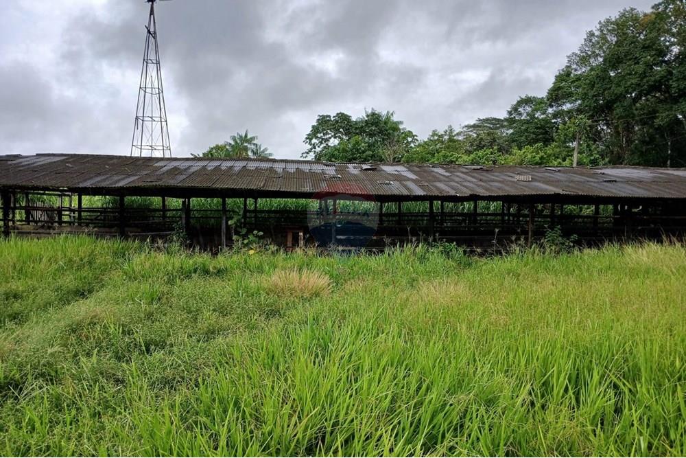 Terreno - Venda - Benevides , Pará - PHOTO-2025-12-22-20-39-38.jpg - 720921008-100