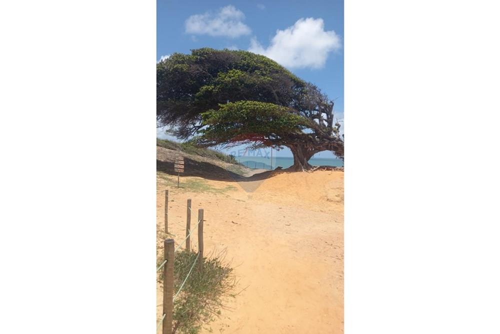 Terreno - Venda - Maxaranguape , Rio Grande do Norte - WhatsApp Image 2026-02-24 at 14.18.53.jpeg - 720891228-28