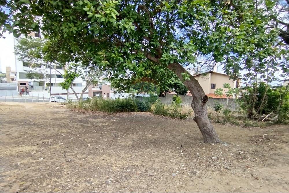 Terreno - Venda - Natal , Rio Grande do Norte - WhatsApp Image 2025-12-29 at 12.56.37.jpeg - 720891013-260