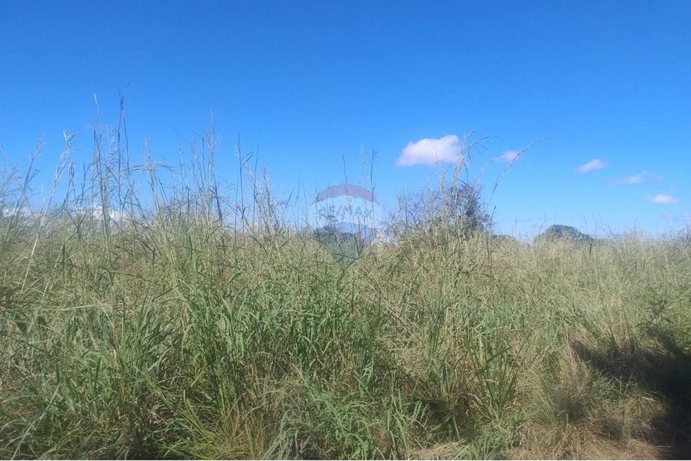 Chácara / Sítio / Fazenda - Venda - Confresa , Mato Grosso - IMG-20250926-WA0032.jpg - 720641046-10