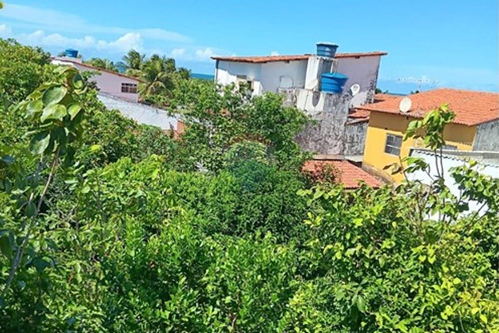 Terreno - Venda - Parnamirim , Rio Grande do Norte - WhatsApp Image 2026-03-24 at 11.35.54.jpeg - 720891130-389