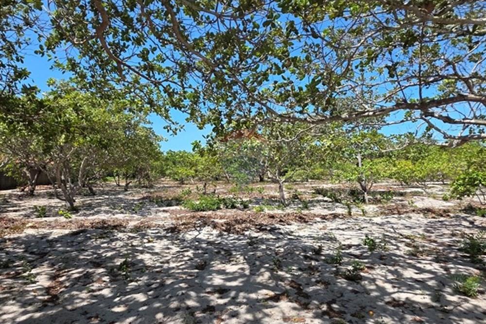 Terreno - Venda - Cruz , Ceará - 1000234208.jpg - 722341001-112