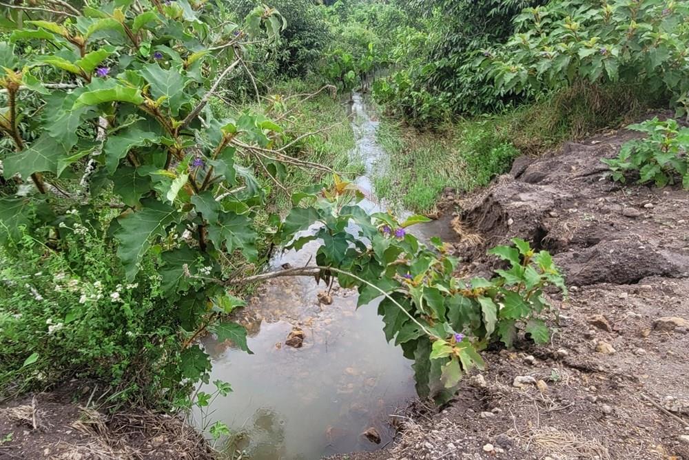 Chácara / Sítio / Fazenda - Venda - Conde , Paraíba - 20260207_104941.jpg - 722011055-53