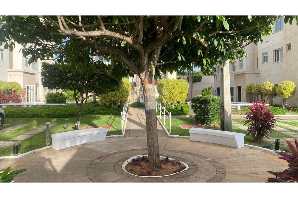 Apartamento - Alugar - Parnamirim , Rio Grande do Norte - WhatsApp Image 2026-03-05 at 10.04.15 (2).jpeg - 720891211-37